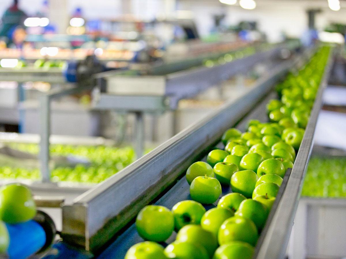 Eliminating O-Ring Extrusion in Food Processing Equipment